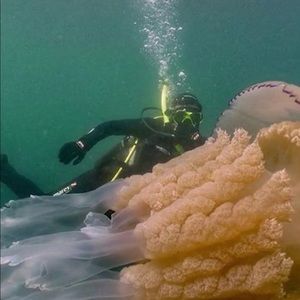 Meet your Posher, Christian